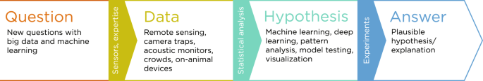 machine learning on stages of animal ecological research infograph