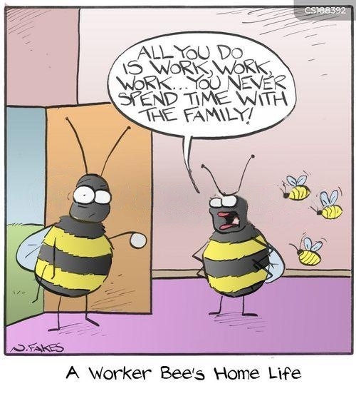 worker bees home life cartoon