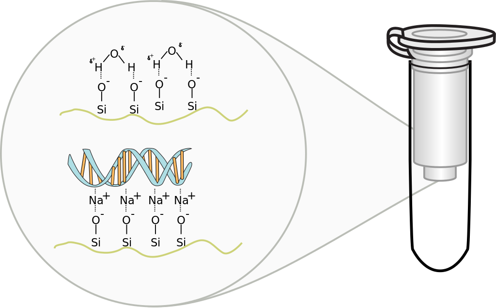 column-based purification