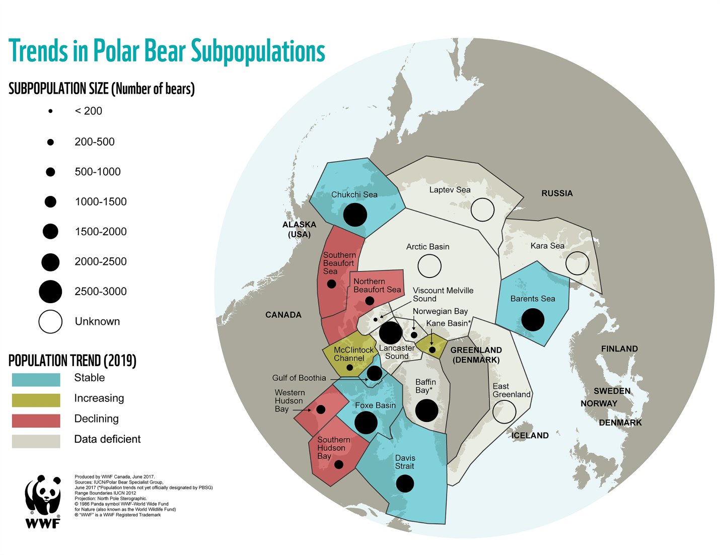 current trends in polar bear populations
