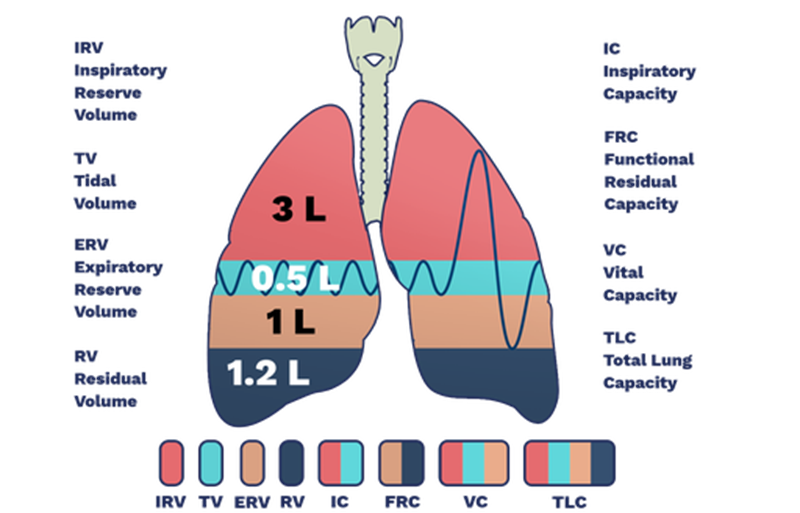 Is residual volume a synonym for dead space volume? If not, then