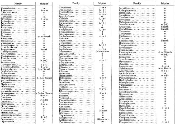 list of plant families and their respective presence or absence of stipules