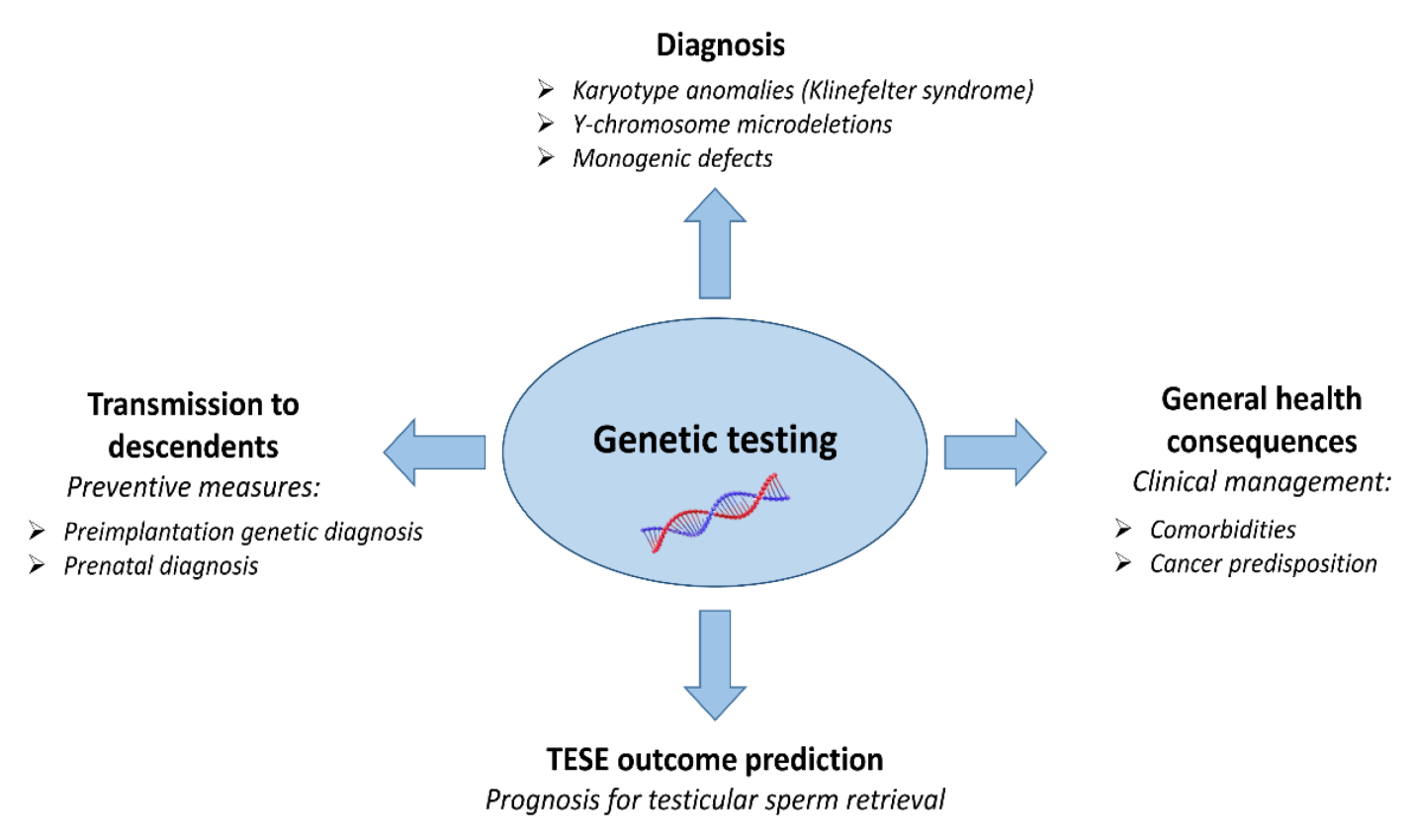 Flowchart clinical relevance of genetic-level testing in azoospermic men