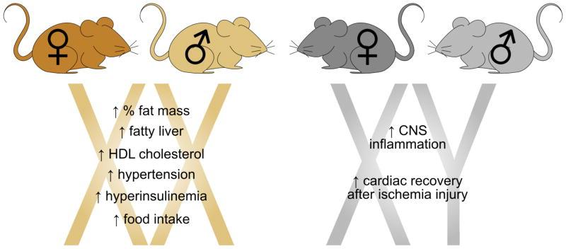 Metabolic Syndrome traits