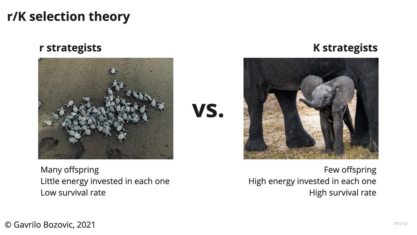 Reproductive strategies of r-strategists versus K-strategists