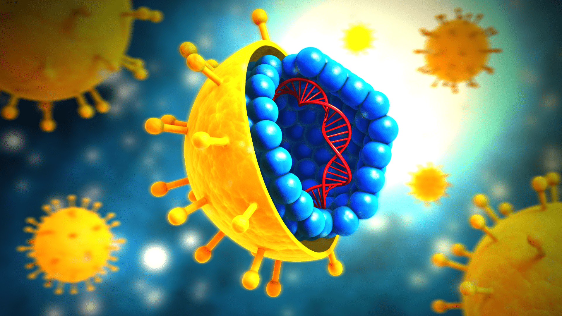 Virus structure